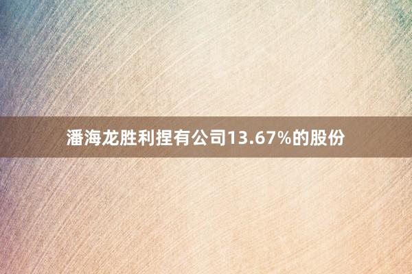 潘海龙胜利捏有公司13.67%的股份